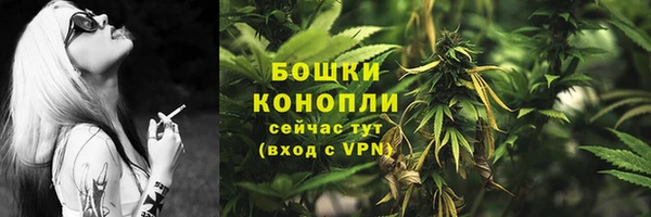 гидра Карталы