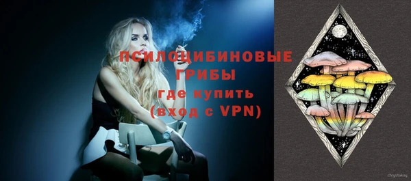 гидра Карталы