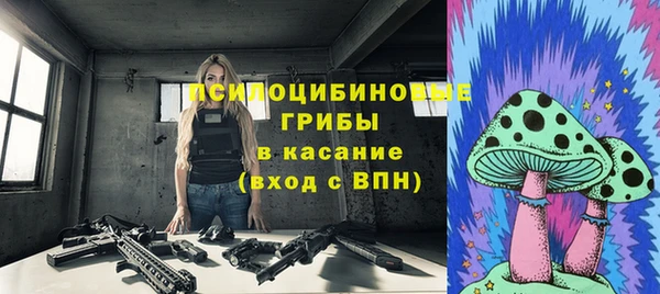 гидра Карталы