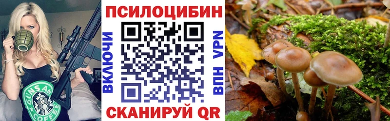 Купить  Бугульма  Псилоцибиновые грибы Cubensis 